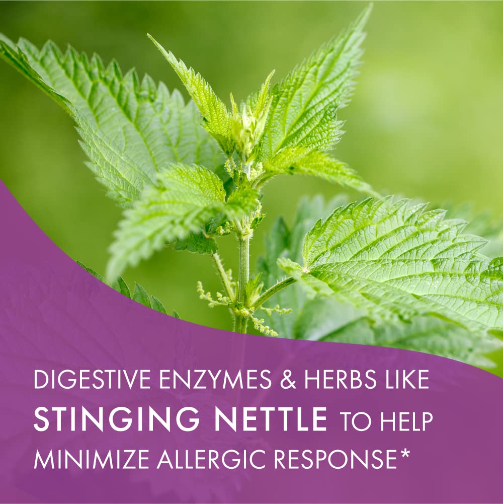 PURE ESSENCE LABS Multi-Enzyme Allergy Support packaging