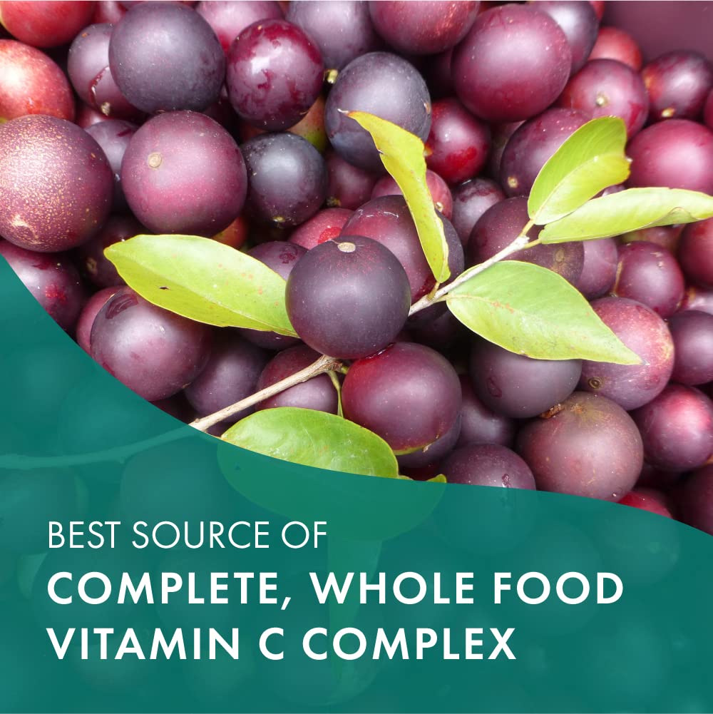 PURE ESSENCE LABS Whole-C Vitamin C Supplement ingredients list