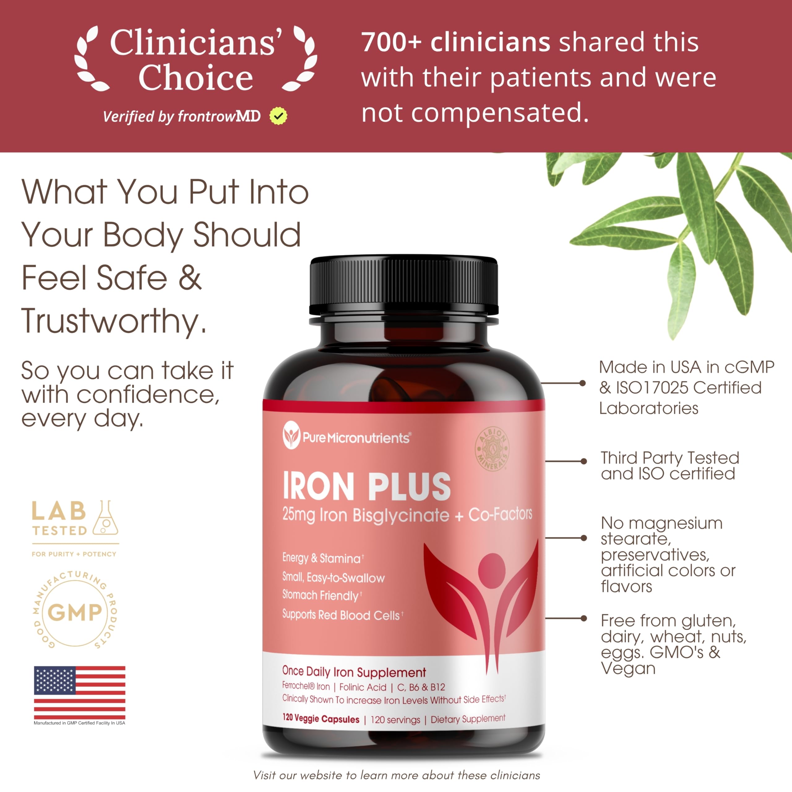 Pure Micronutrients Iron Supplement 100g ingredients list