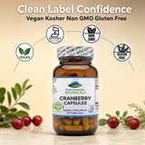 Pure Mountain Botanicals Cranberry Extract Capsules next to fresh cranberries