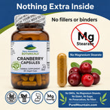 Pure Mountain Botanicals Cranberry Extract Capsules on a wooden table