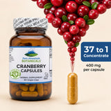 Pure Mountain Botanicals Cranberry Extract Capsules with label details