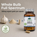 Pure Mountain Botanicals Garlic Supplement capsules close-up