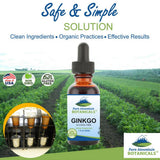 Pure Mountain Botanicals Ginkgo Biloba Liquid 467mg side view