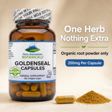 Pure Mountain Botanicals Goldenseal Capsules 250mg label close-up