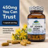 Pure Mountain Botanicals St. John's Wort packaging side view