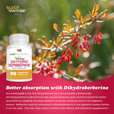 Pure Nootropics Dihydroberberine GlucoVantage capsules with measuring spoon