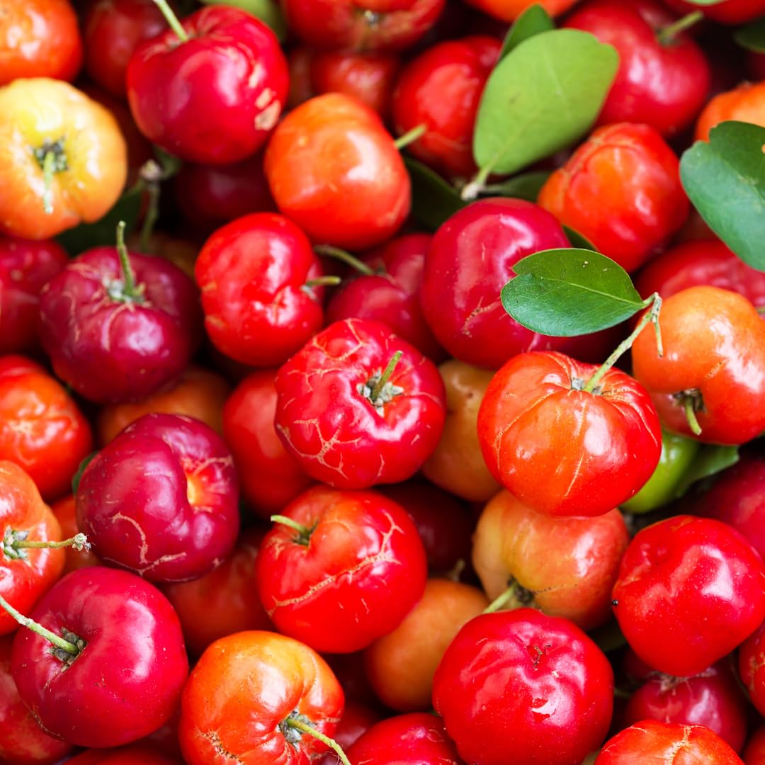 PURE ORIGINAL INGREDIENTS Acerola Cherry Capsules close-up