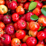PURE ORIGINAL INGREDIENTS Acerola Cherry Capsules close-up