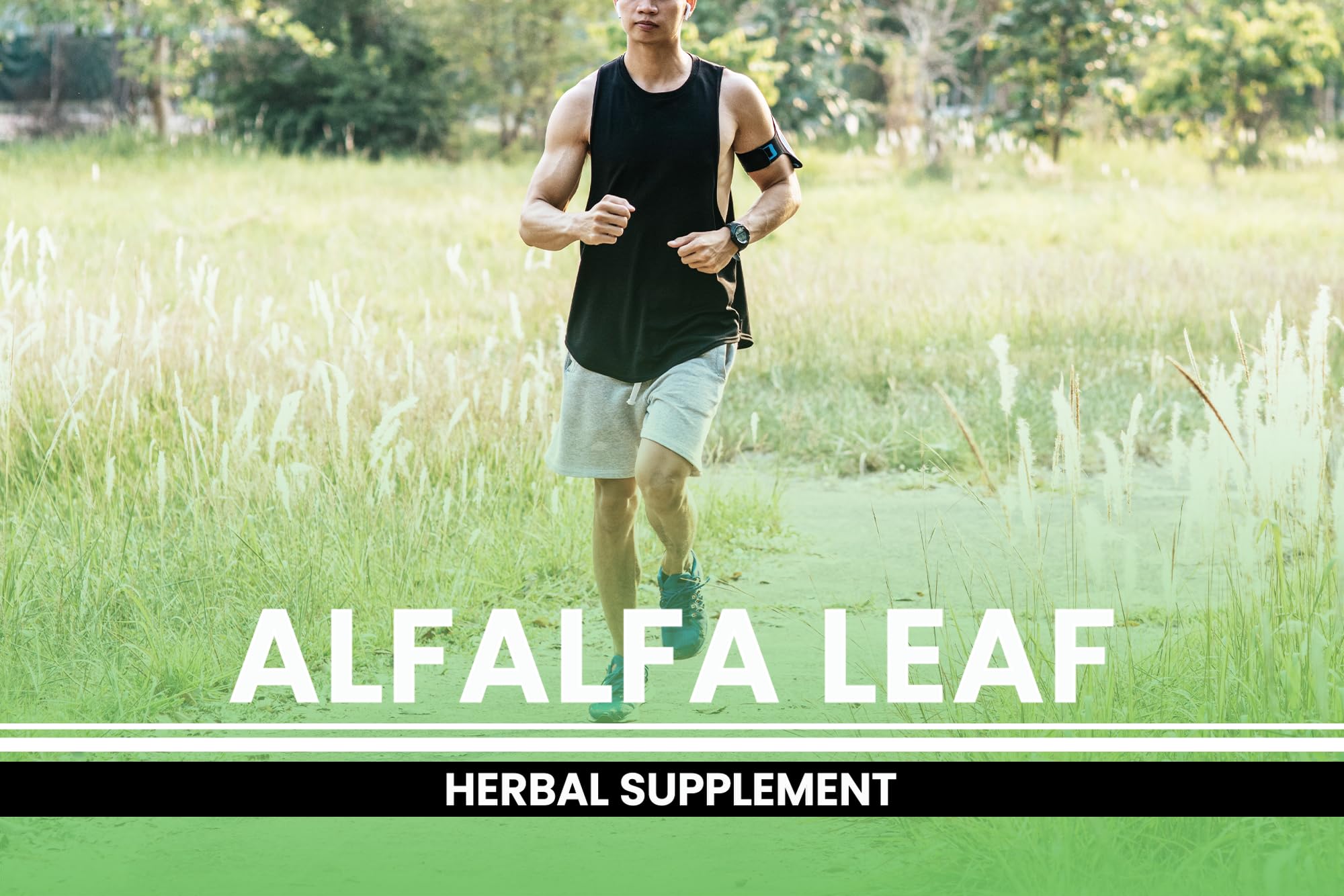 PURE ORIGINAL INGREDIENTS Alfalfa Leaf Capsules with dosage information