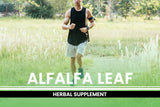 PURE ORIGINAL INGREDIENTS Alfalfa Leaf Capsules with dosage information