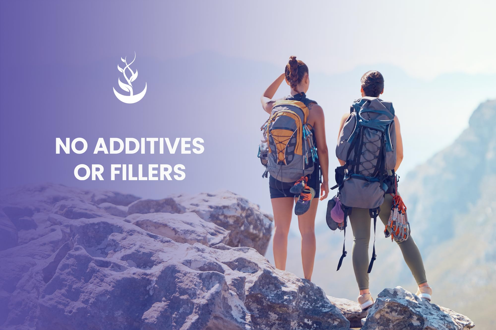 PURE ORIGINAL INGREDIENTS Bilberry Extract Capsules on a wooden surface