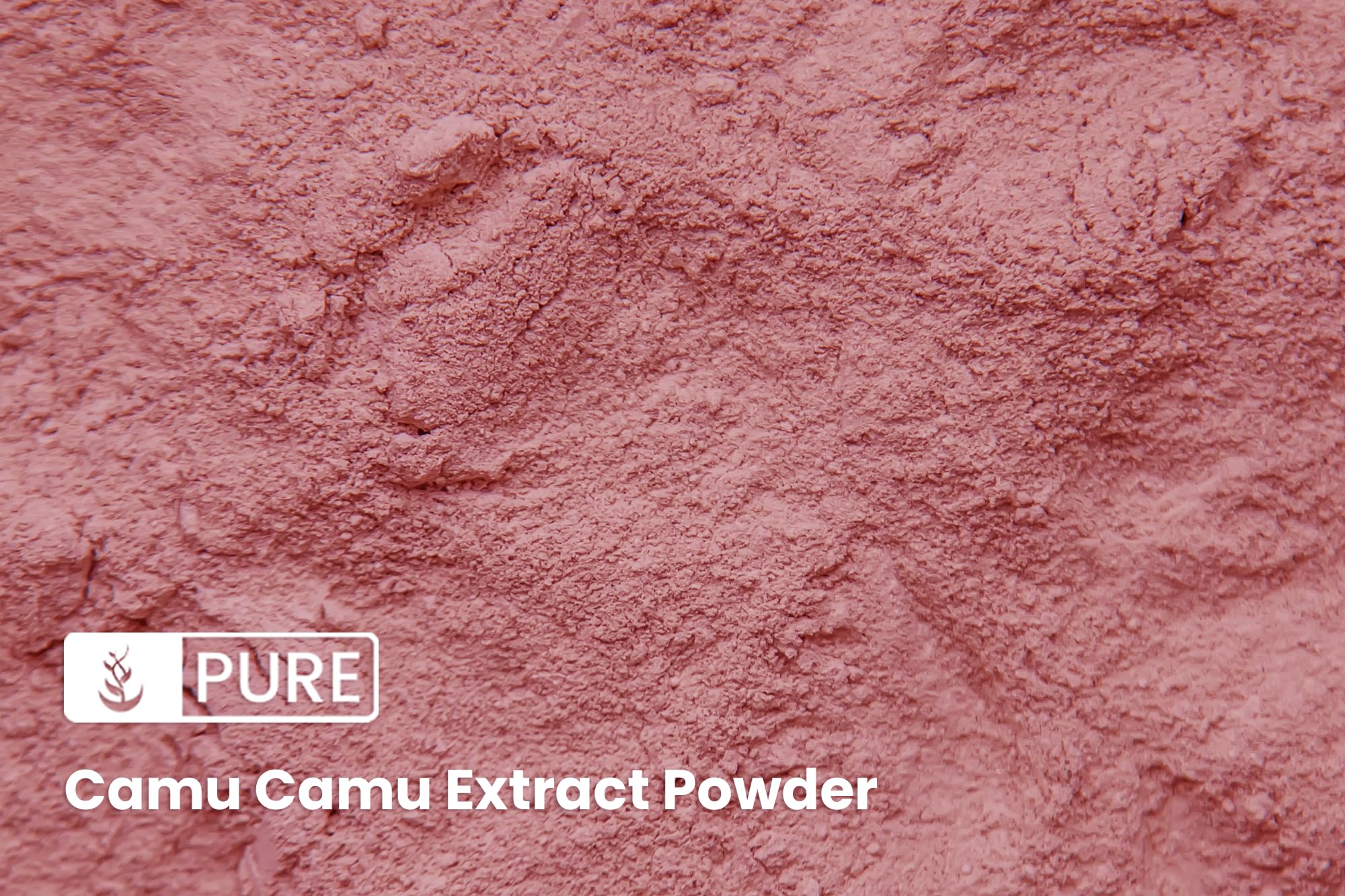 PURE ORIGINAL INGREDIENTS Camu Camu Powder scoop and powder