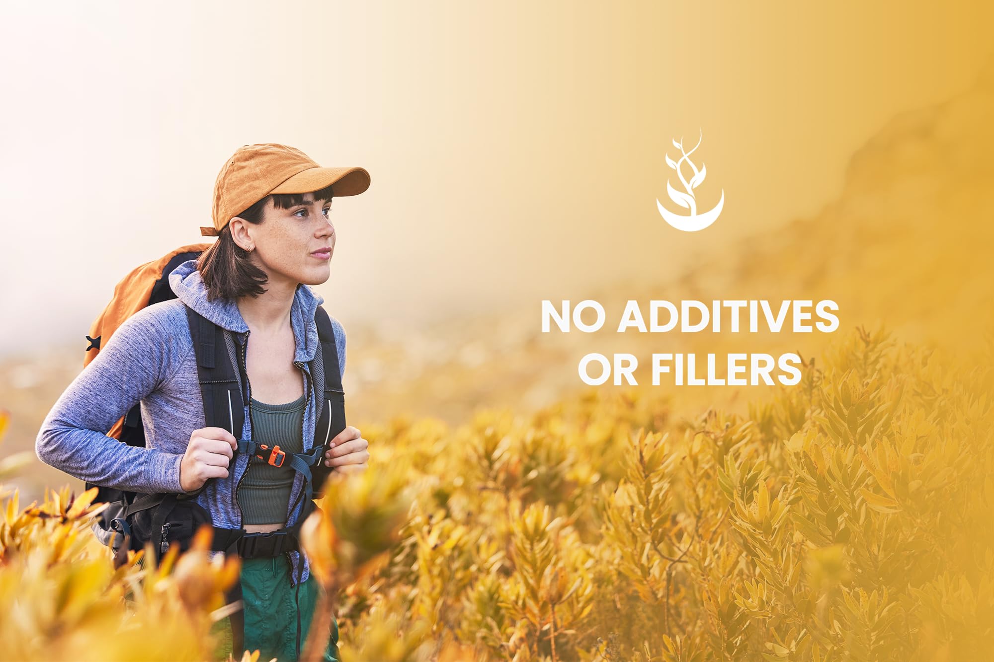 PURE ORIGINAL INGREDIENTS Ginger Root Capsules bottle top view