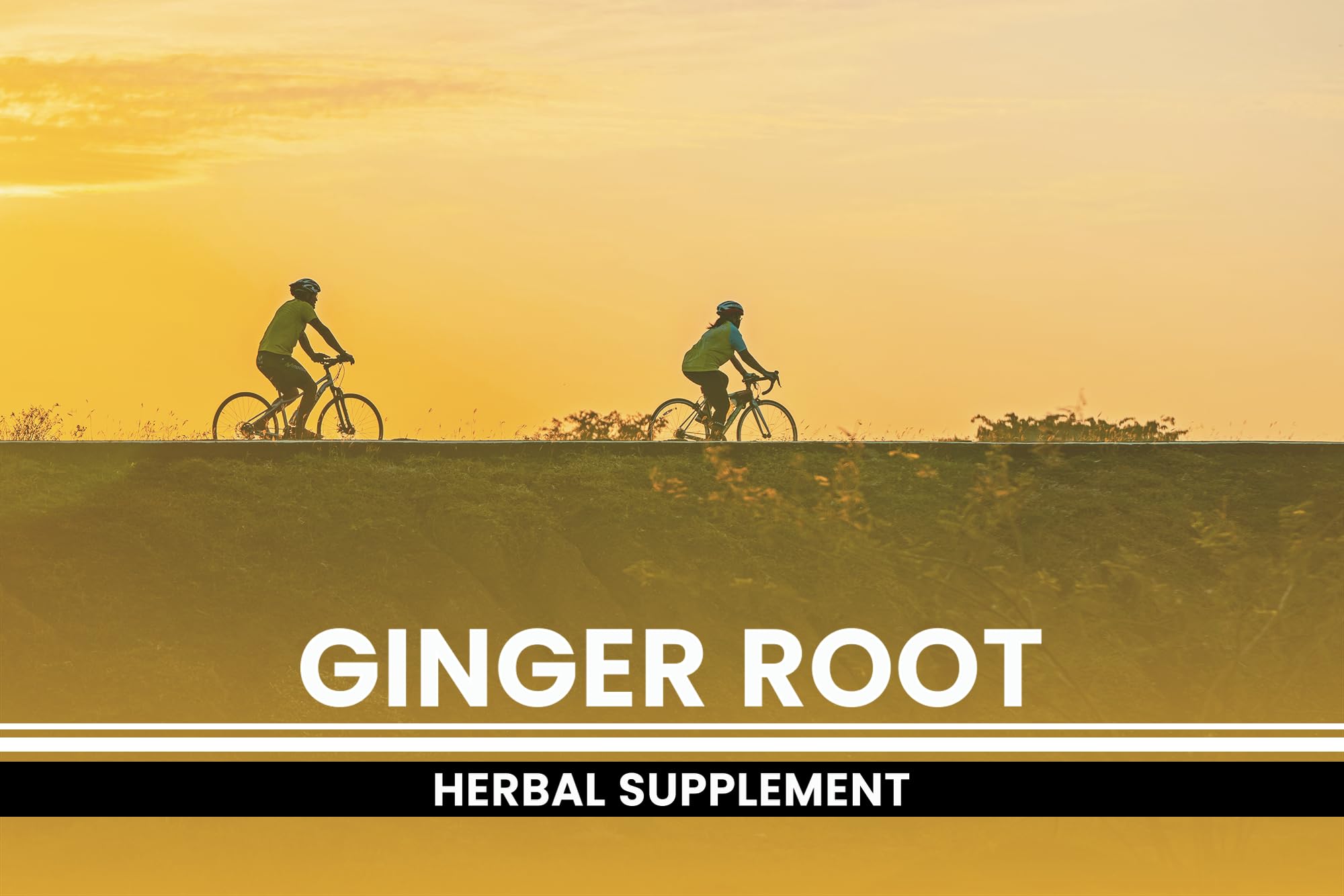 PURE ORIGINAL INGREDIENTS Ginger Root Capsules with ingredients list