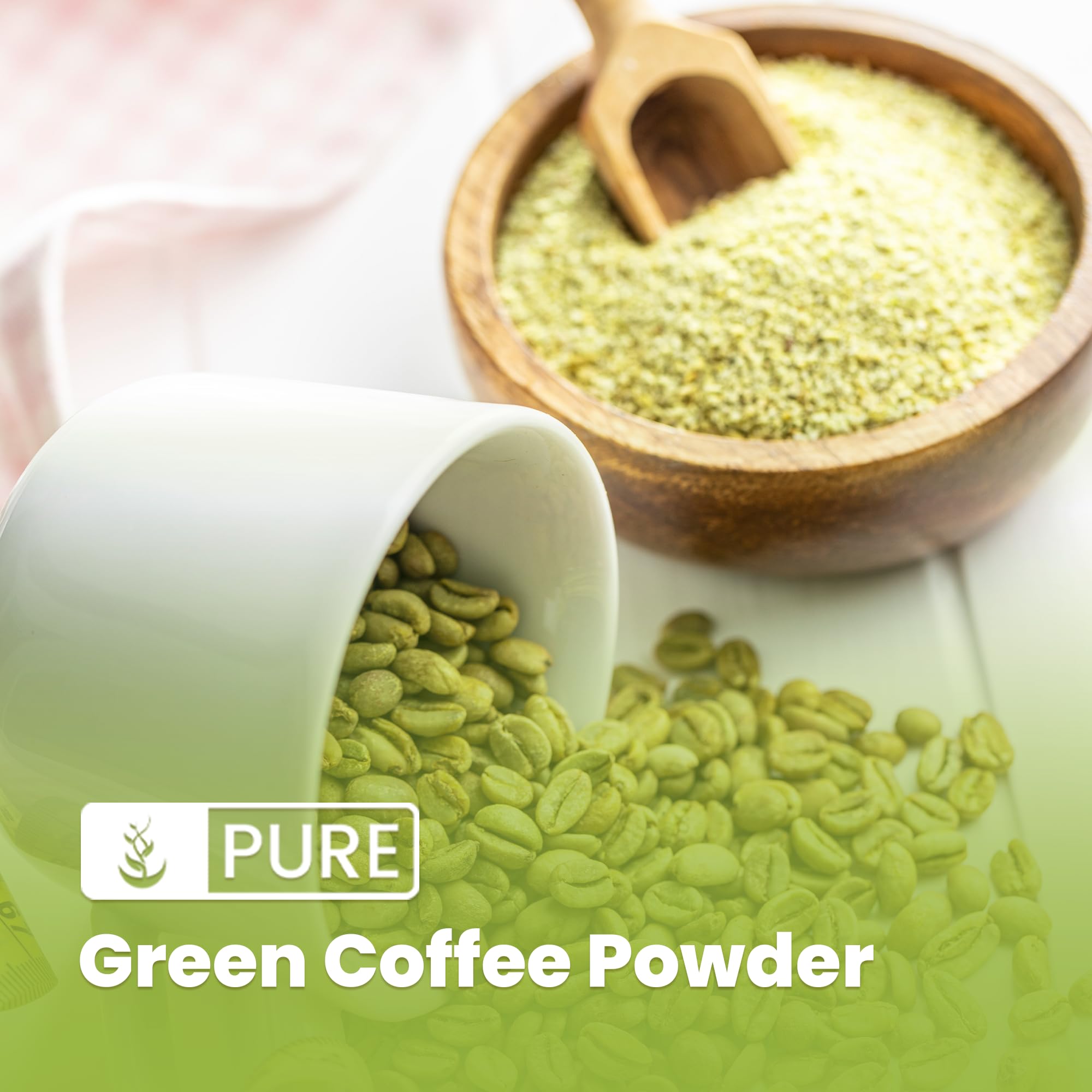 PURE ORIGINAL INGREDIENTS Green Coffee Bean Extract Powder scoop
