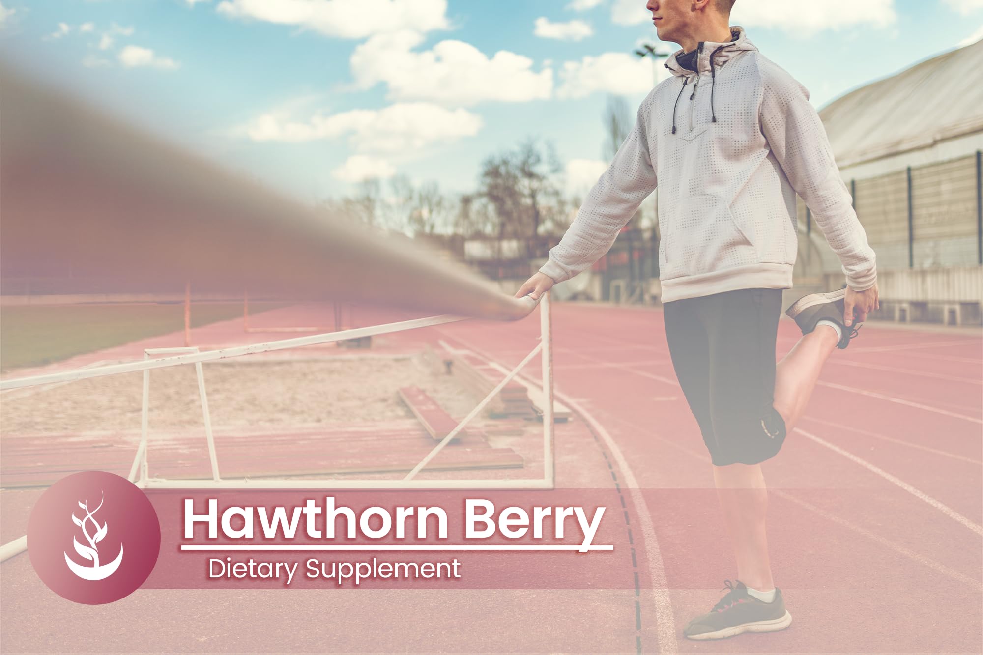 PURE ORIGINAL INGREDIENTS Hawthorn Berry Capsules on a wooden table