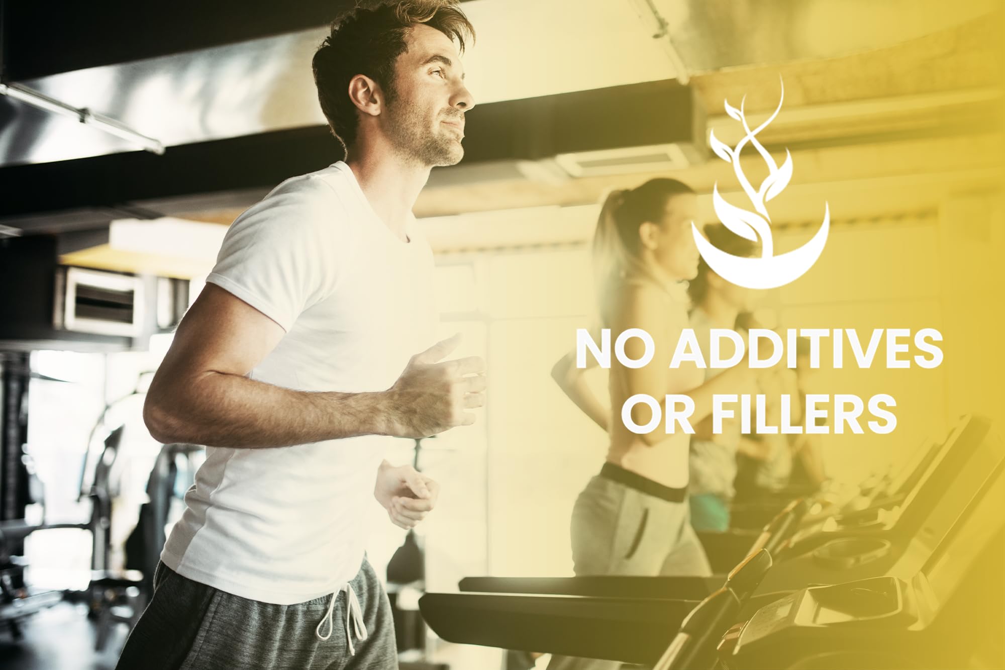 PURE ORIGINAL INGREDIENTS HMB Capsules ingredients list