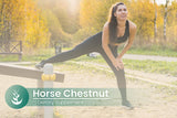 PURE ORIGINAL INGREDIENTS Horse Chestnut Capsules with a measuring spoon