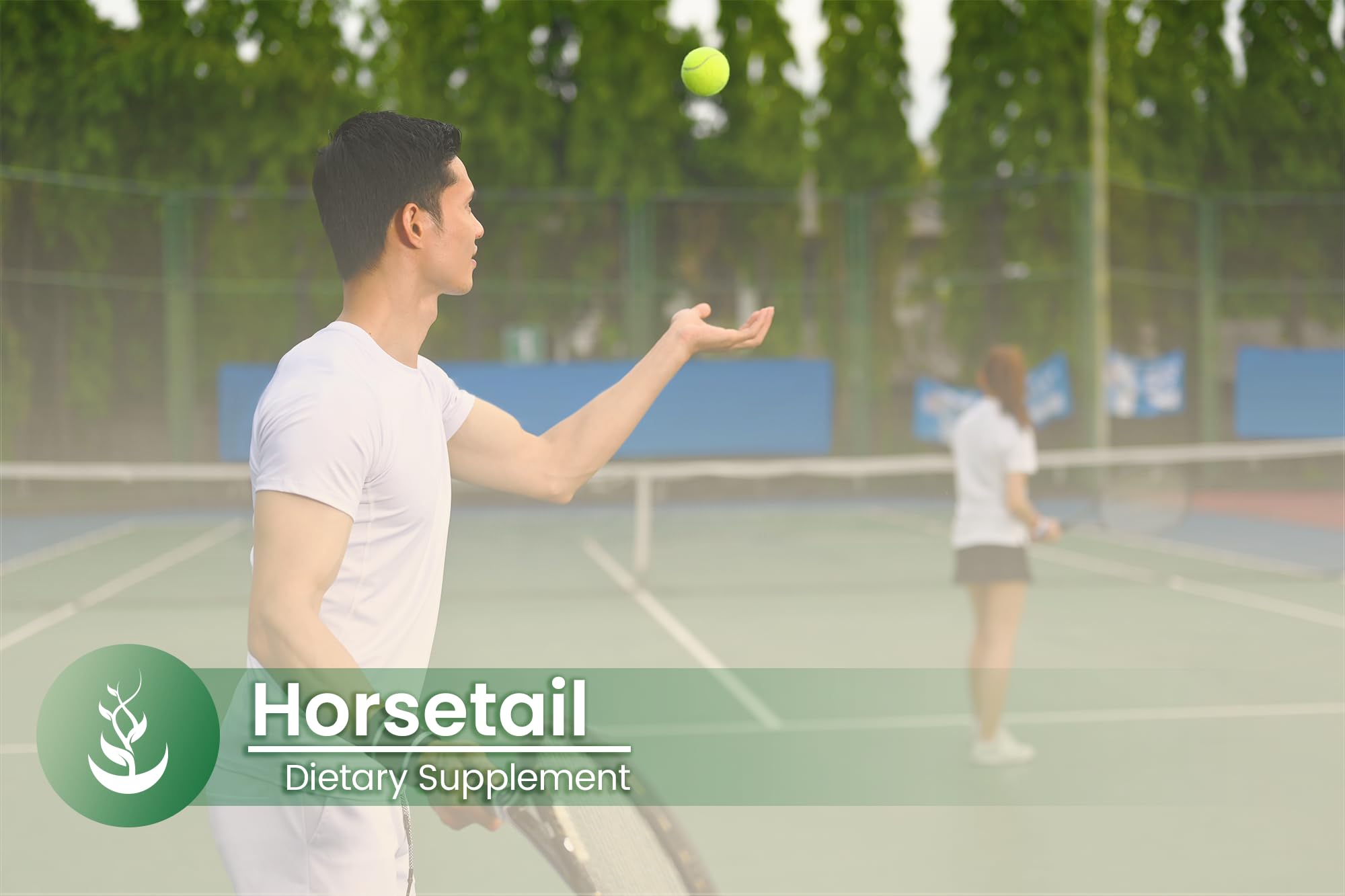 PURE ORIGINAL INGREDIENTS Horsetail Capsules on a wooden table