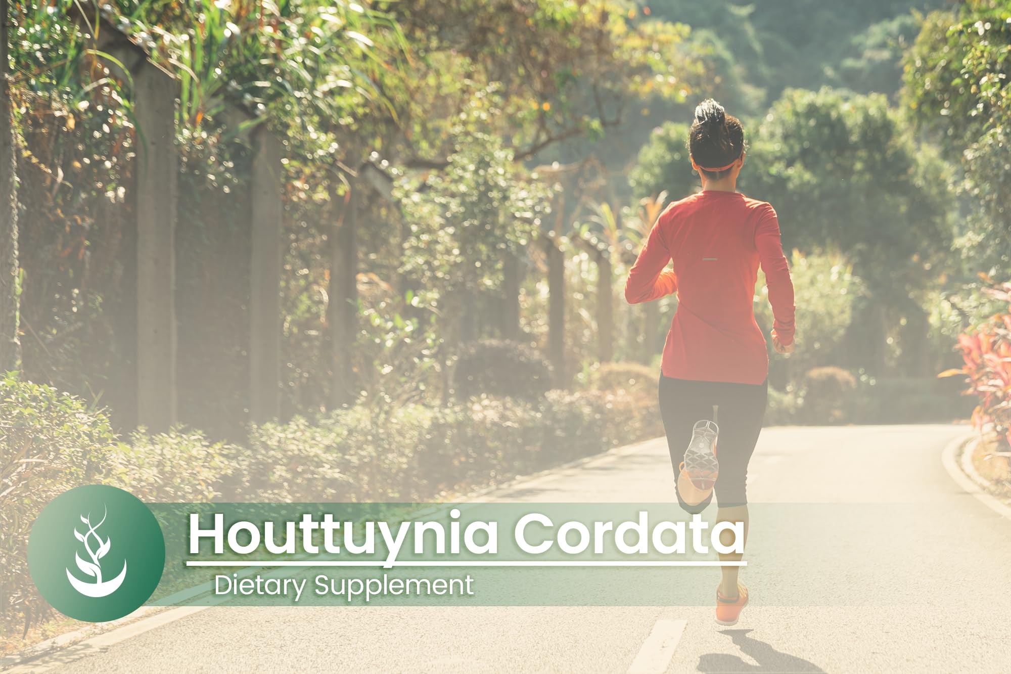 PURE ORIGINAL INGREDIENTS Houttuynia Cordata Capsules on a table