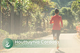 PURE ORIGINAL INGREDIENTS Houttuynia Cordata Capsules on a table