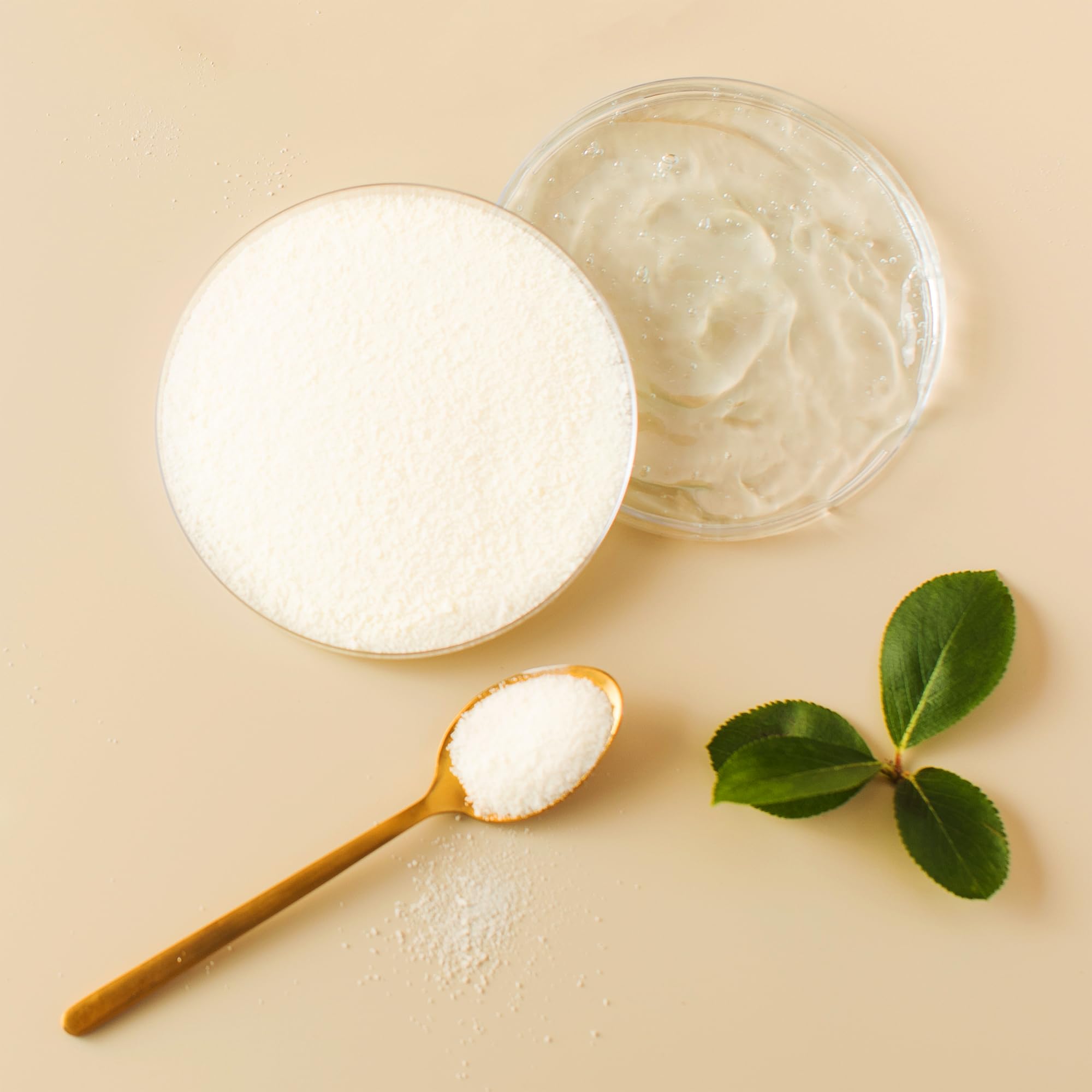 PURE ORIGINAL INGREDIENTS Hyaluronic Acid Powder close-up of texture