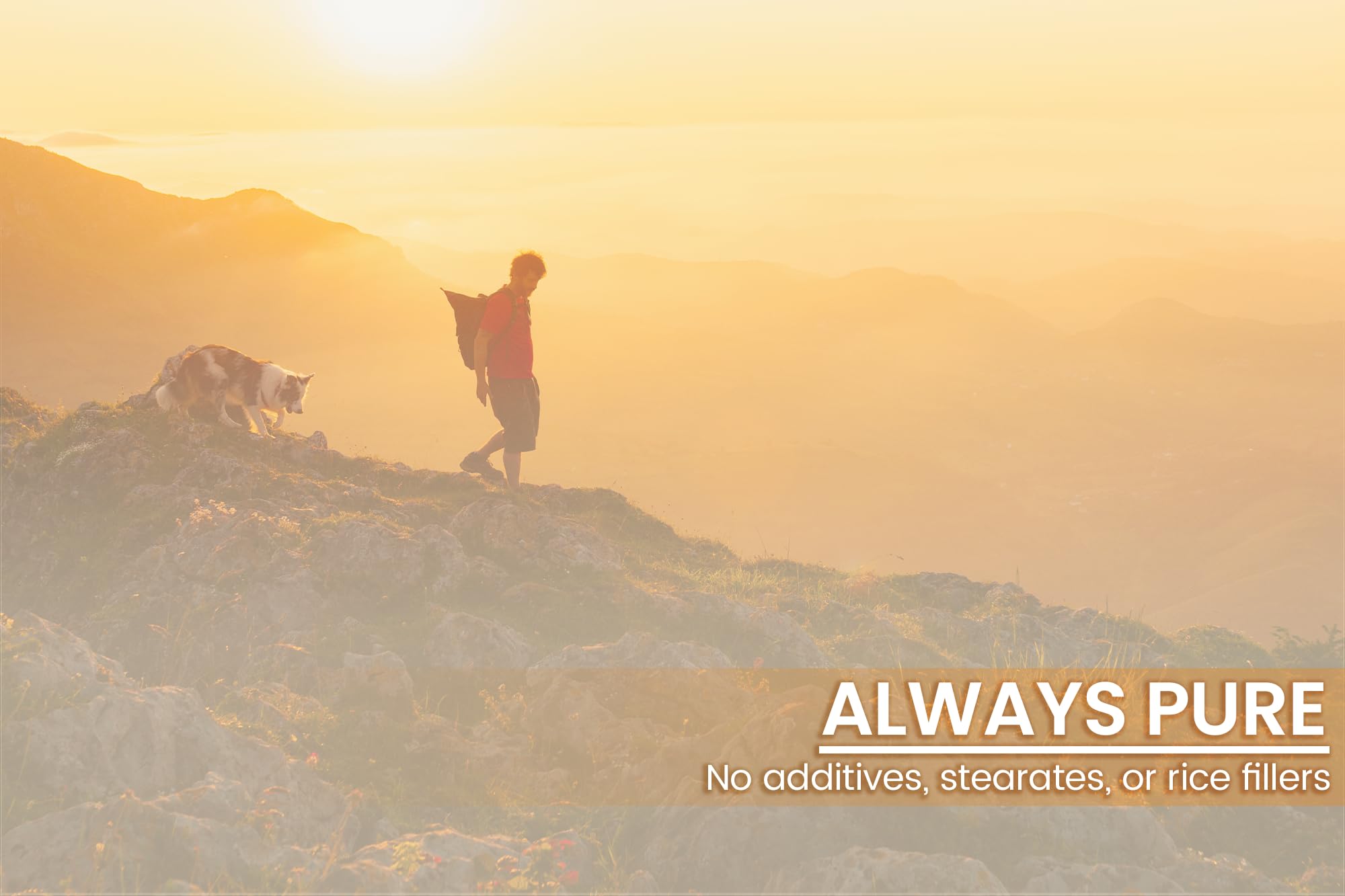 PURE ORIGINAL INGREDIENTS Irvingia Capsules in hand