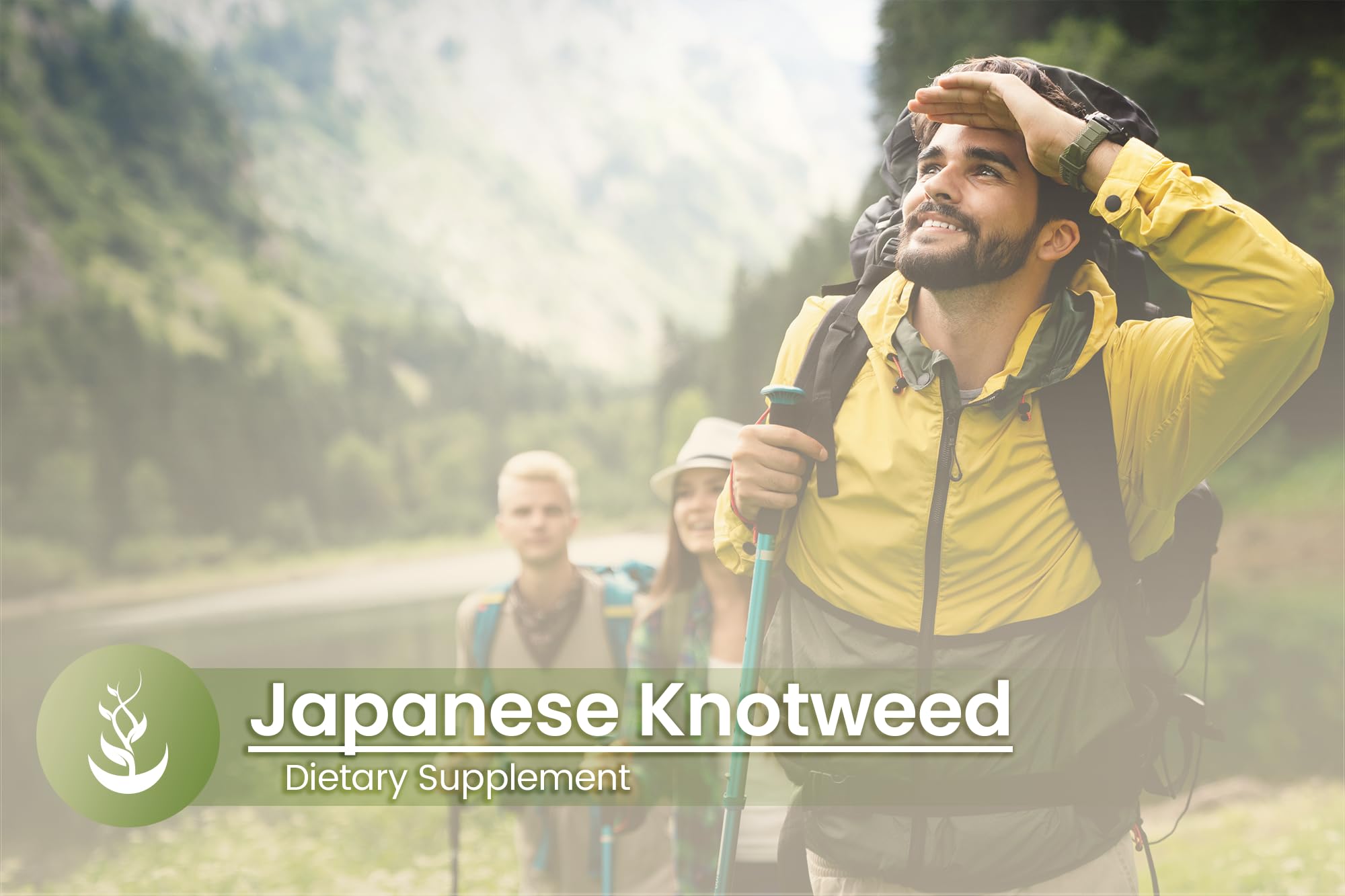 PURE ORIGINAL INGREDIENTS Japanese Knotweed Capsules on a wooden table