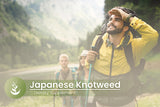 PURE ORIGINAL INGREDIENTS Japanese Knotweed Capsules on a wooden table