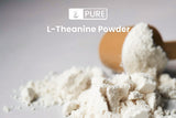 PURE ORIGINAL INGREDIENTS L-Theanine Powder scoop with powder