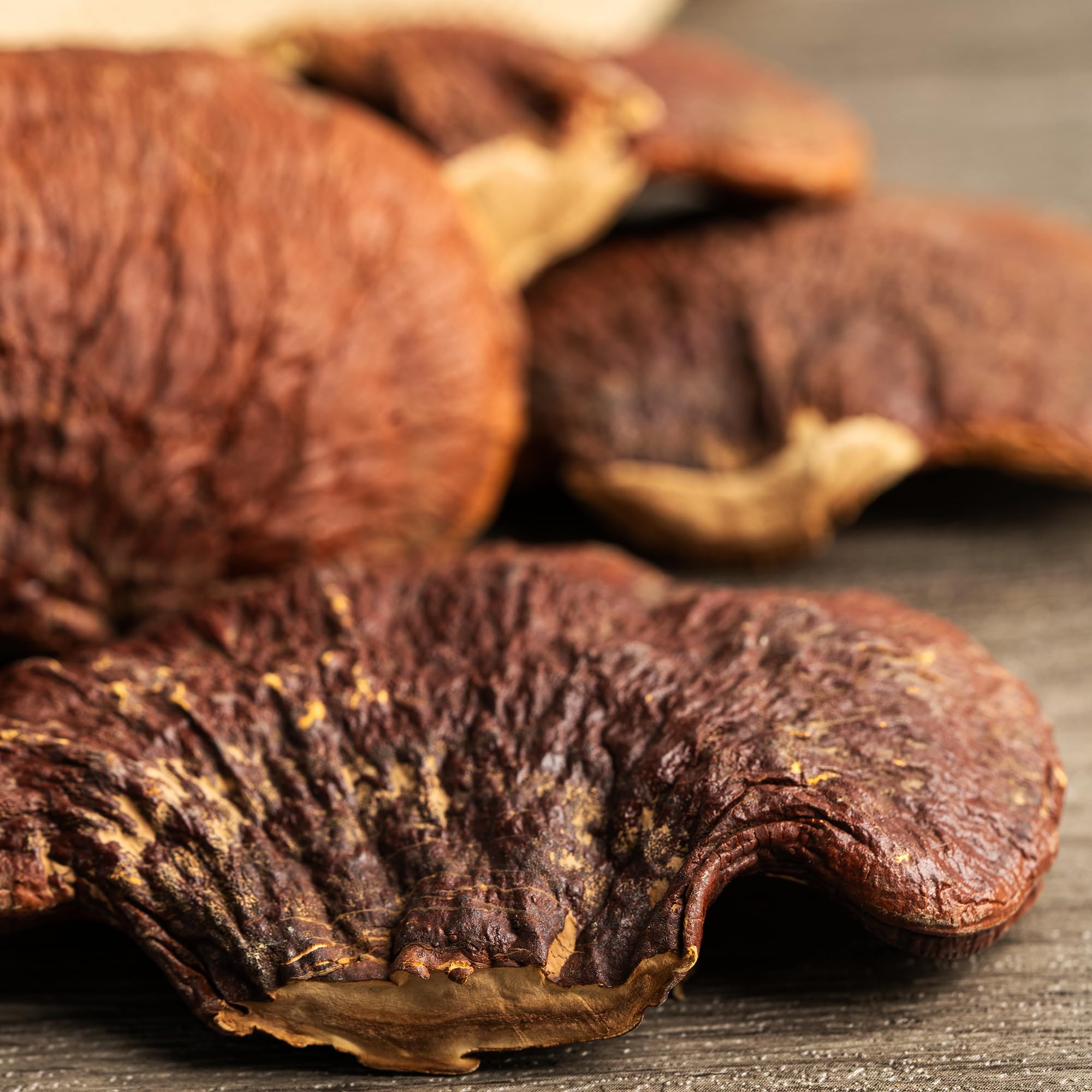 PURE ORIGINAL INGREDIENTS Reishi Mushroom Powder in a bowl with a spoon