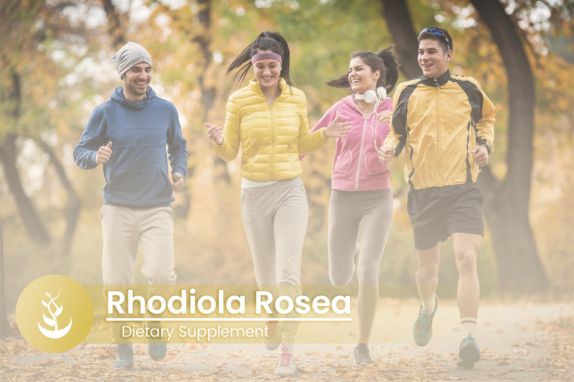 PURE ORIGINAL INGREDIENTS Rhodiola Rosea Capsules with a measuring spoon