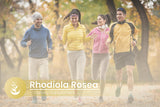 PURE ORIGINAL INGREDIENTS Rhodiola Rosea Capsules with a measuring spoon