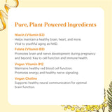 PURE SYNERGY B-Complex Vitamins bottle with a measuring spoon