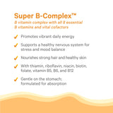 PURE SYNERGY B-Complex Vitamins ingredients list close-up