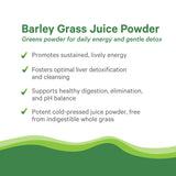 PURE SYNERGY Barley Grass Juice Powder 5.3 oz close-up of powder
