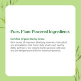 PURE SYNERGY Barley Grass Juice Powder 5.3 oz mixed in smoothie