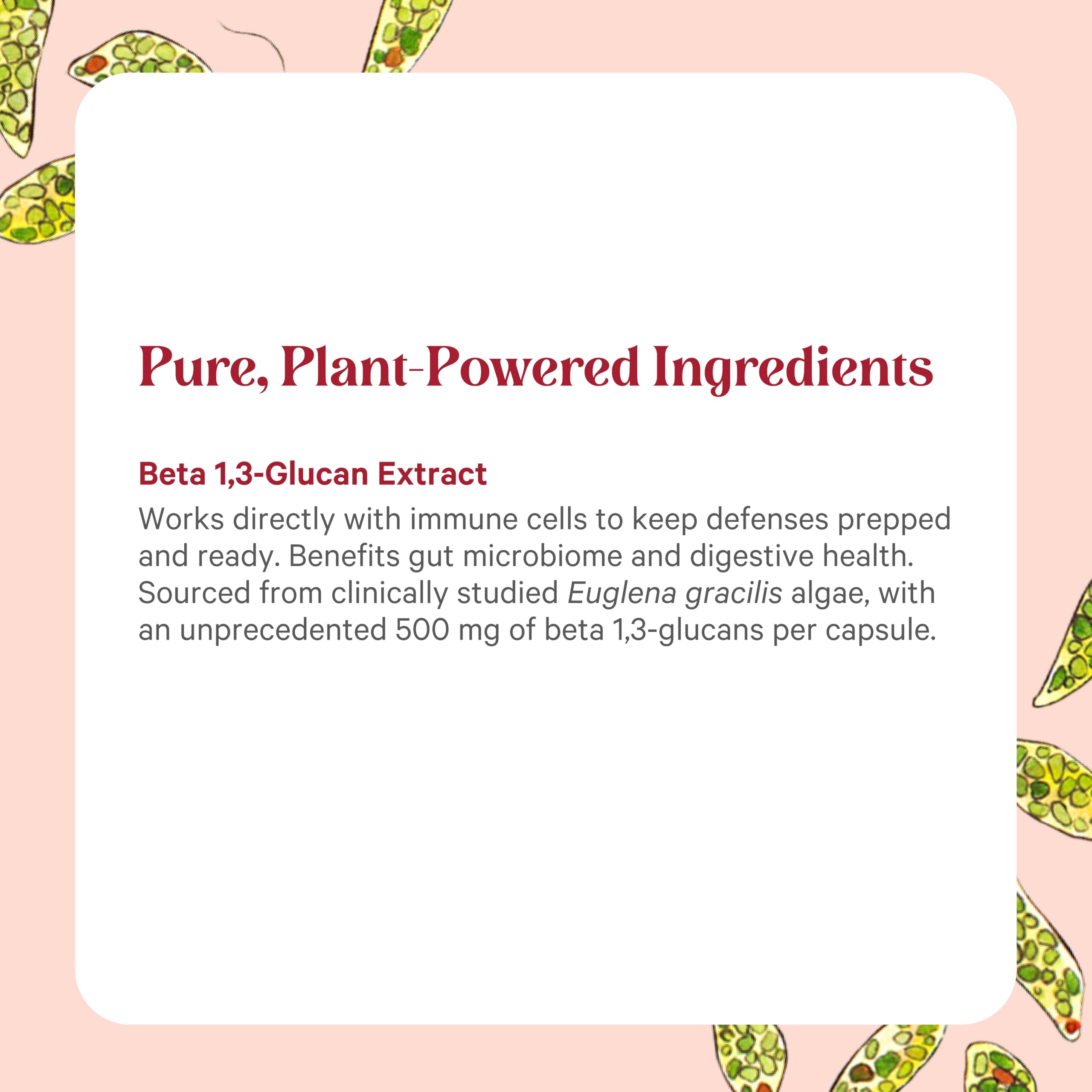 PURE SYNERGY Beta 1,3-Glucans Capsules close-up of capsule