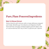 PURE SYNERGY Beta 1,3-Glucans Capsules close-up of capsule
