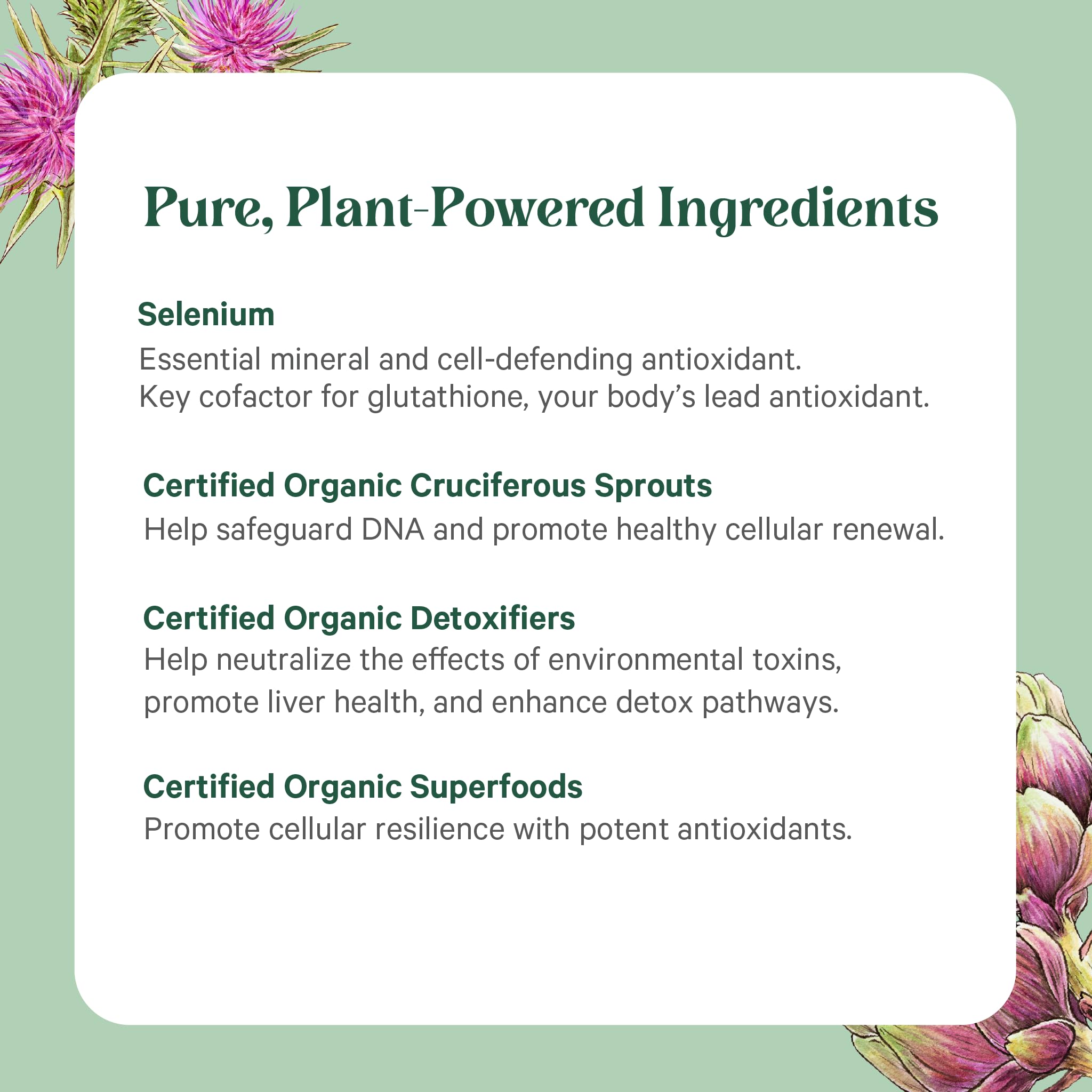 PURE SYNERGY Blended Vitamin & Mineral Supplement capsules in a hand