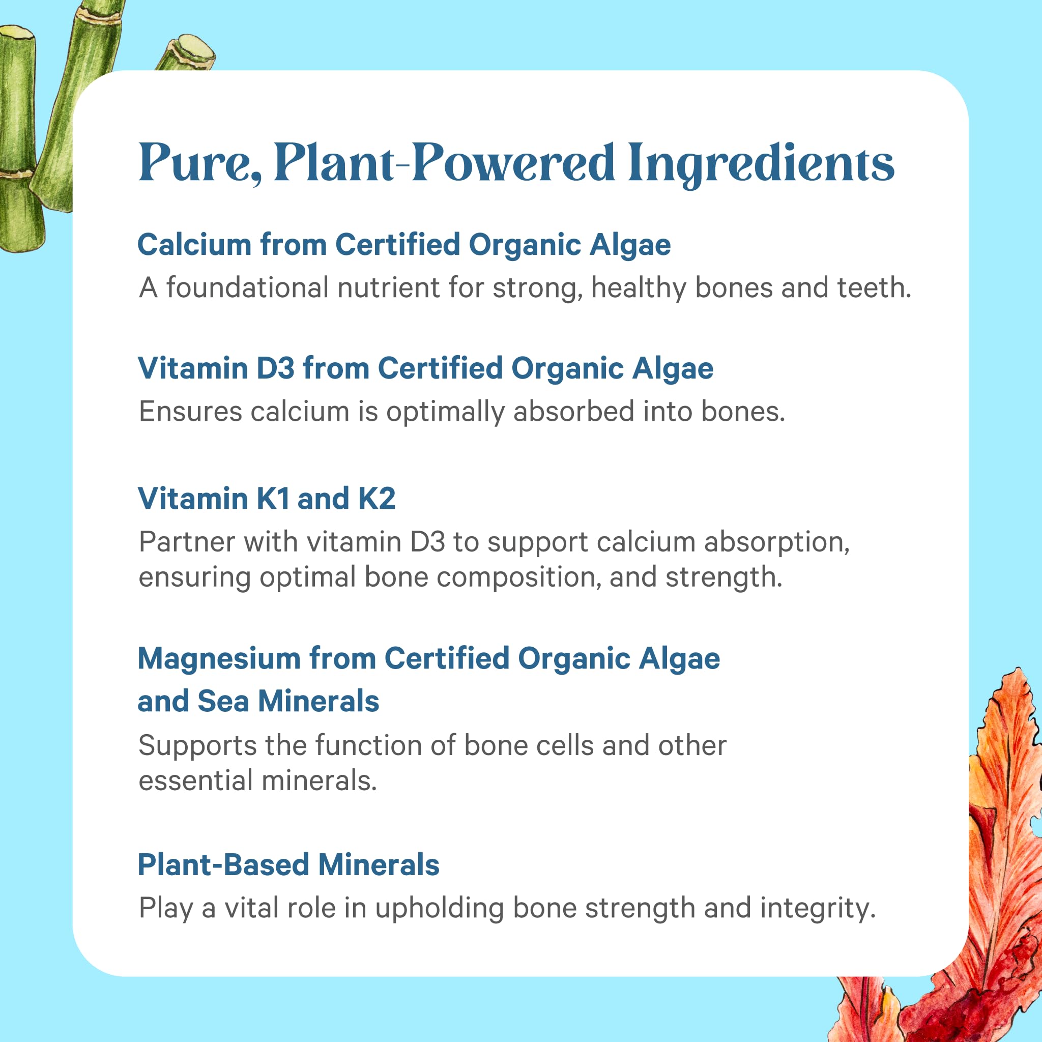 PURE SYNERGY Calcium Magnesium Vitamin D3 K2 Supplement bottle with capsules scattered