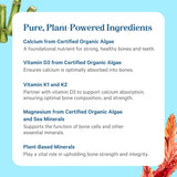 PURE SYNERGY Calcium Magnesium Vitamin D3 K2 Supplement bottle with capsules scattered