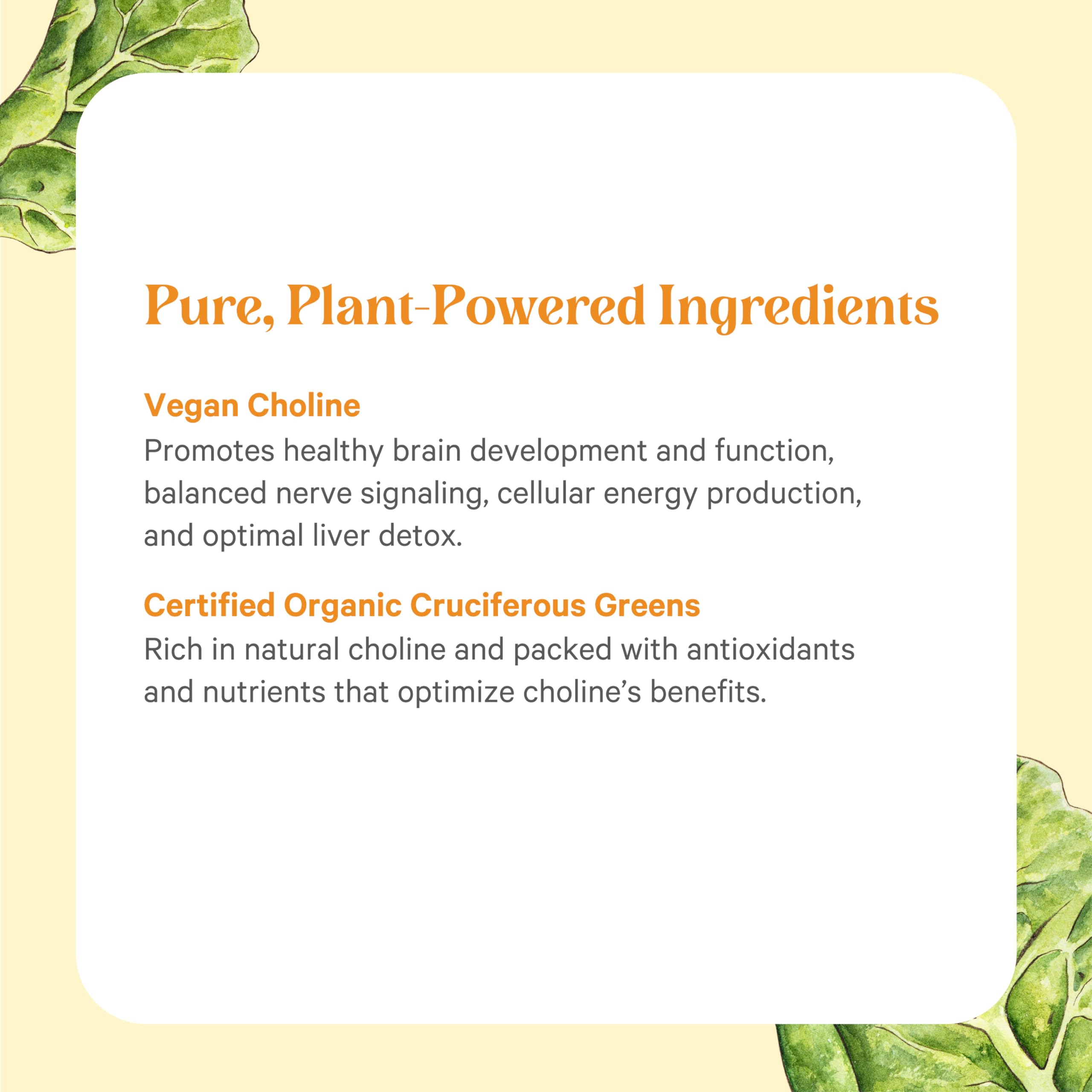 PURE SYNERGY Complete Choline Complex product packaging back view