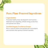PURE SYNERGY Complete Choline Complex product packaging back view