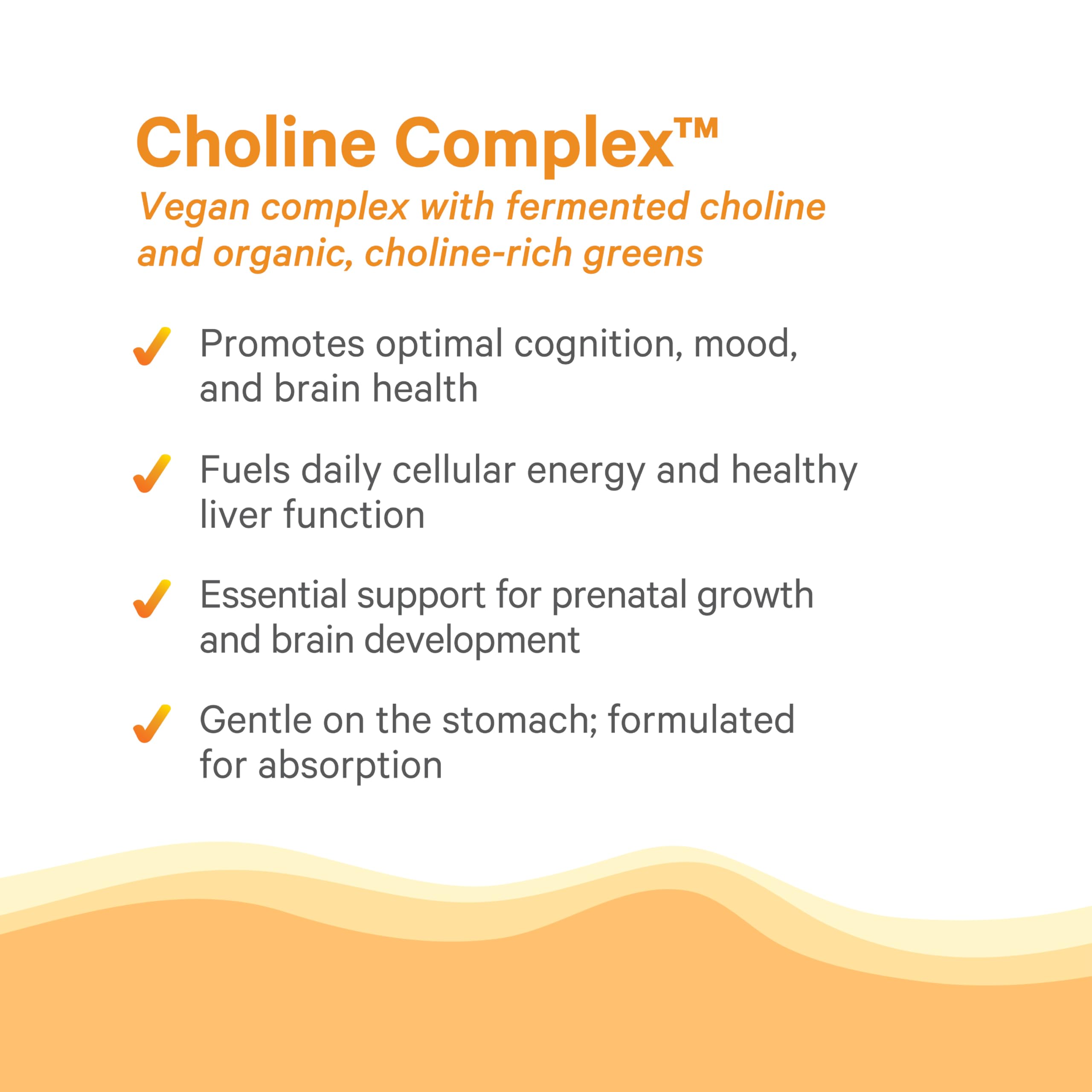 PURE SYNERGY Complete Choline Complex showing organic ingredients
