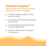 PURE SYNERGY Complete Choline Complex showing organic ingredients