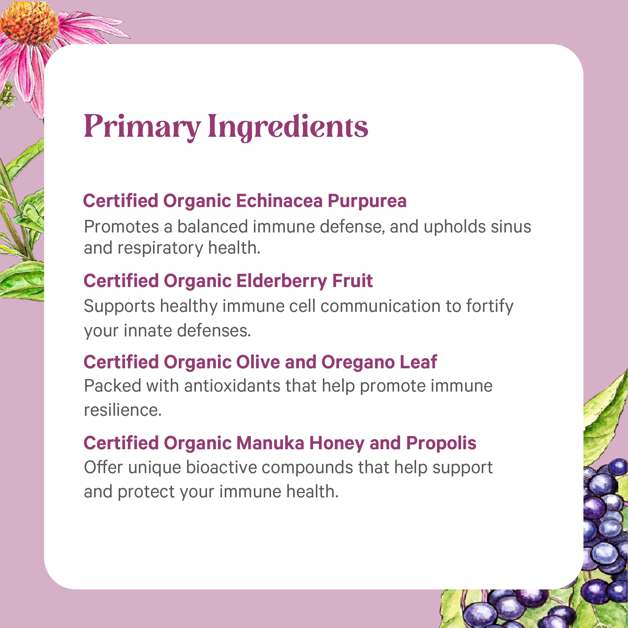 PURE SYNERGY Echinacea supplement in a lifestyle setting