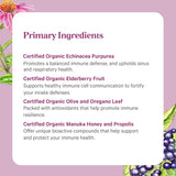 PURE SYNERGY Echinacea supplement in a lifestyle setting