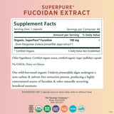 PURE SYNERGY Fucoidan Supplement bottle side view